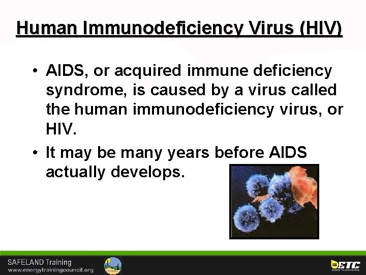 Human Immunodeficiency Virus (HIV) • AIDS, or acquired immune deficiency syndrome, is caused by
