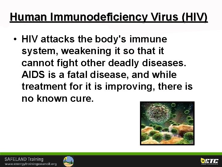 Human Immunodeficiency Virus (HIV) • HIV attacks the body's immune system, weakening it so