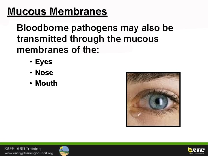 Mucous Membranes Bloodborne pathogens may also be transmitted through the mucous membranes of the: