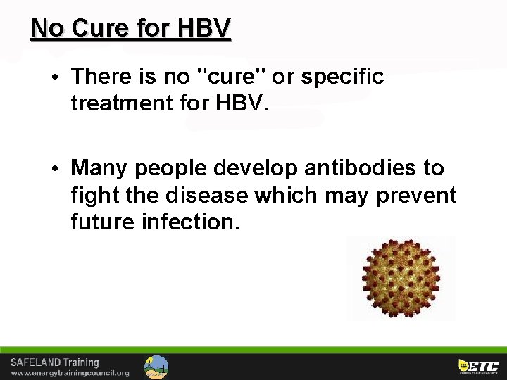 No Cure for HBV • There is no "cure" or specific treatment for HBV.