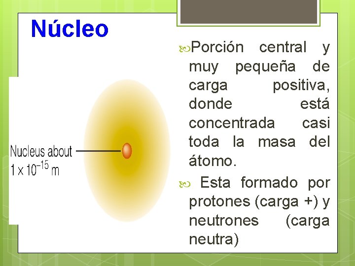 Núcleo Porción central y muy pequeña de carga positiva, donde está concentrada casi toda