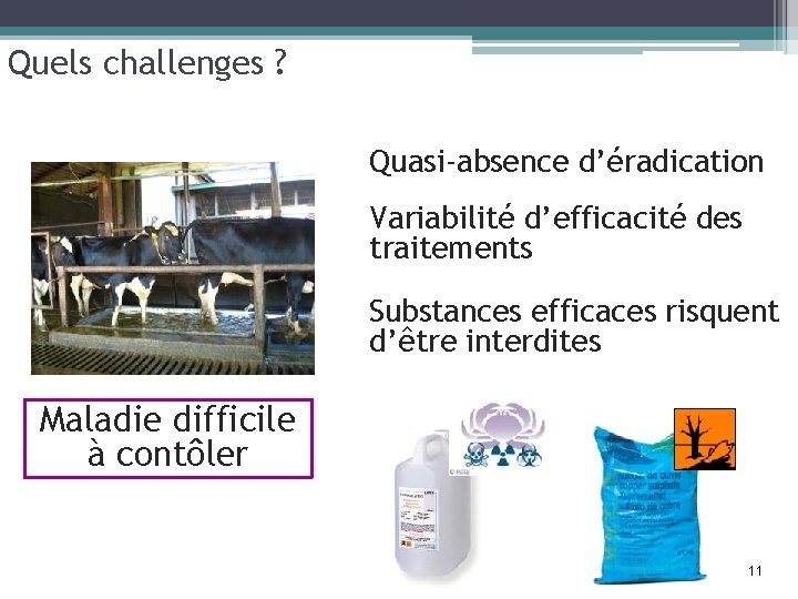 Quels challenges ? Quasi-absence d’éradication Variabilité d’efficacité des traitements Substances efficaces risquent d’être interdites