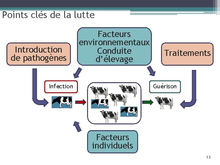 Points clés de la lutte Introduction de pathogènes Facteurs environnementaux Conduite d’élevage Infection Traitements