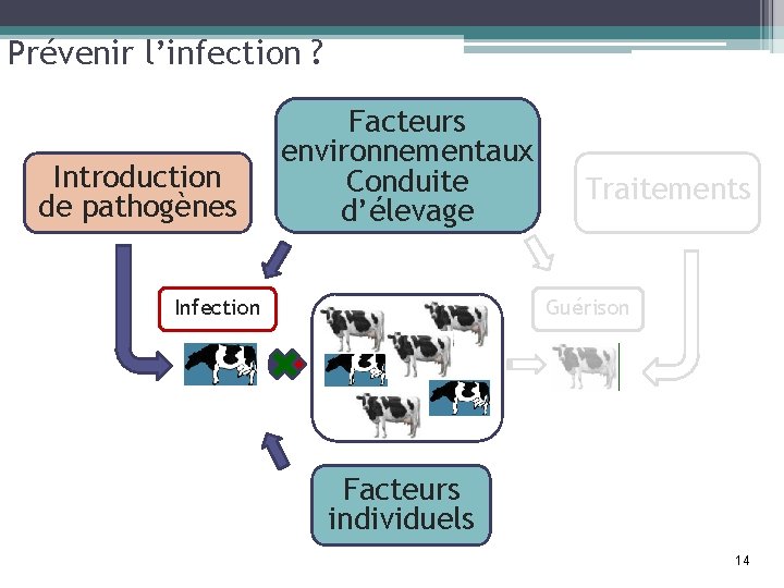 Prévenir l’infection ? Introduction de pathogènes Facteurs environnementaux Conduite d’élevage Infection Traitements Guérison Facteurs