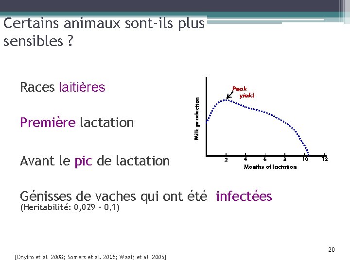 Certains animaux sont-ils plus sensibles ? Races laitières Première lactation Avant le pic de