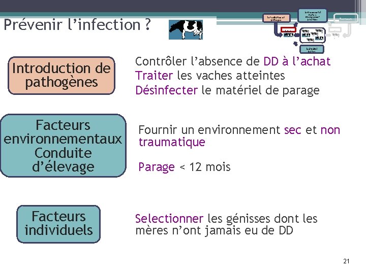 Prévenir l’infection ? Environmental factors Management practices Introduction of pathogen Treatments C u r