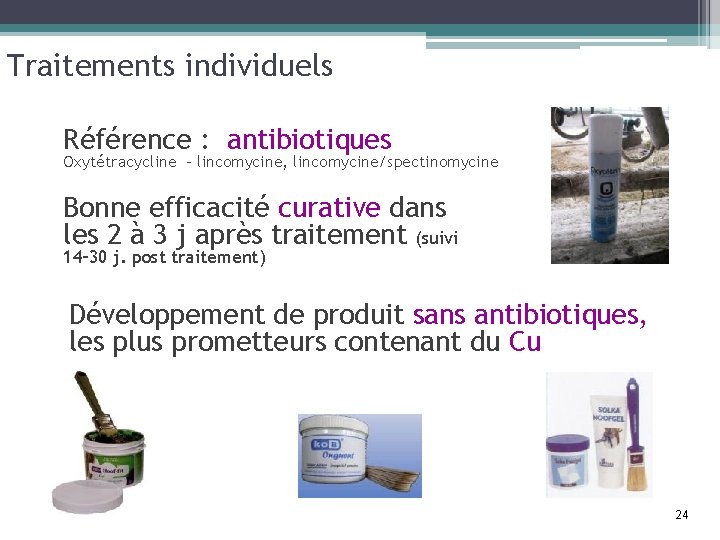 Traitements individuels Référence : antibiotiques Oxytétracycline – lincomycine, lincomycine/spectinomycine Bonne efficacité curative dans les