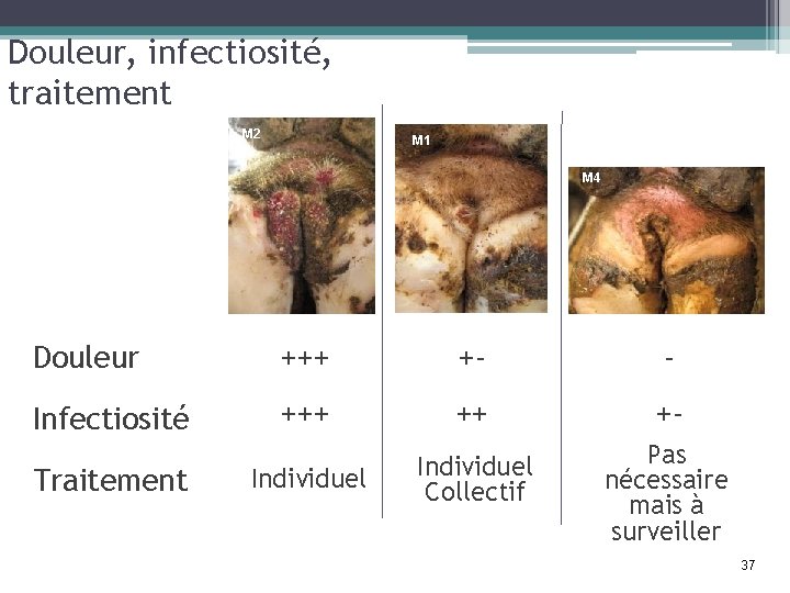 Douleur, infectiosité, traitement M 2 M 1 M 4 Douleur +++ +- - Infectiosité