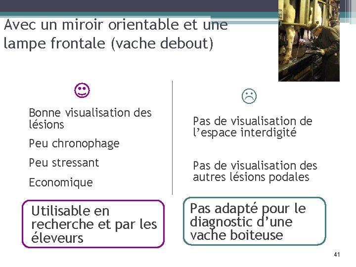 Avec un miroir orientable et une lampe frontale (vache debout) Bonne visualisation des lésions