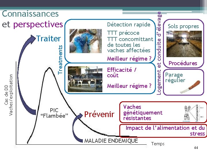 Treatments Cas de DD Vaches/exploitation Traiter Détection rapide TTT précoce TTT concomittant de toutes