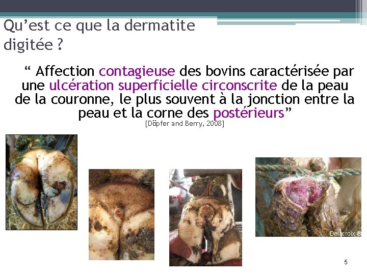 Qu’est ce que la dermatite digitée ? “ Affection contagieuse des bovins caractérisée par