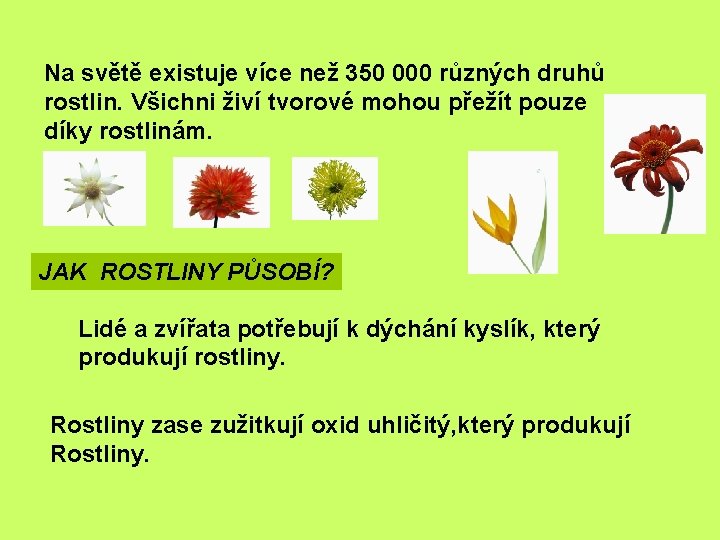 Na světě existuje více než 350 000 různých druhů rostlin. Všichni živí tvorové mohou