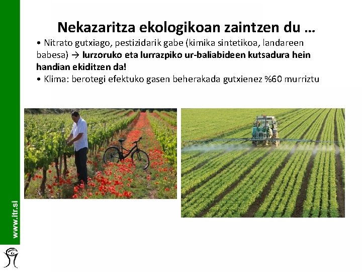 Nekazaritza ekologikoan zaintzen du … • Nitrato gutxiago, pestizidarik gabe (kimika sintetikoa, landareen babesa)