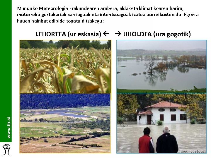 Munduko Meteorologia Erakundearen arabera, aldaketa klimatikoaren harira, muturreko gertakariak sarriagoak eta intentsoagoak izatea aurreikusten