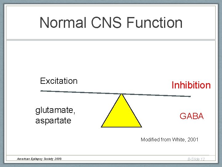 Normal CNS Function Excitation glutamate, aspartate Inhibition GABA Modified from White, 2001 American Epilepsy