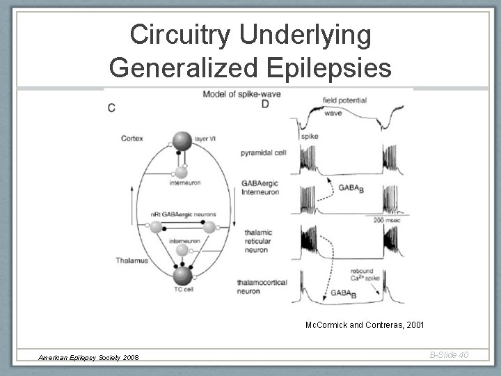 Circuitry Underlying Generalized Epilepsies Mc. Cormick and Contreras, 2001 American Epilepsy Society 2008 B-Slide