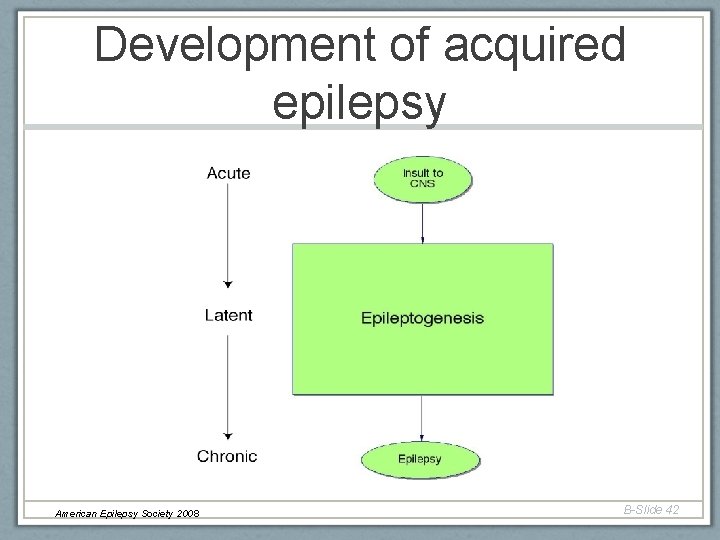 Development of acquired epilepsy American Epilepsy Society 2008 B-Slide 42 Development of acquired epilepsy American Epilepsy Society 2008 B-Slide 42