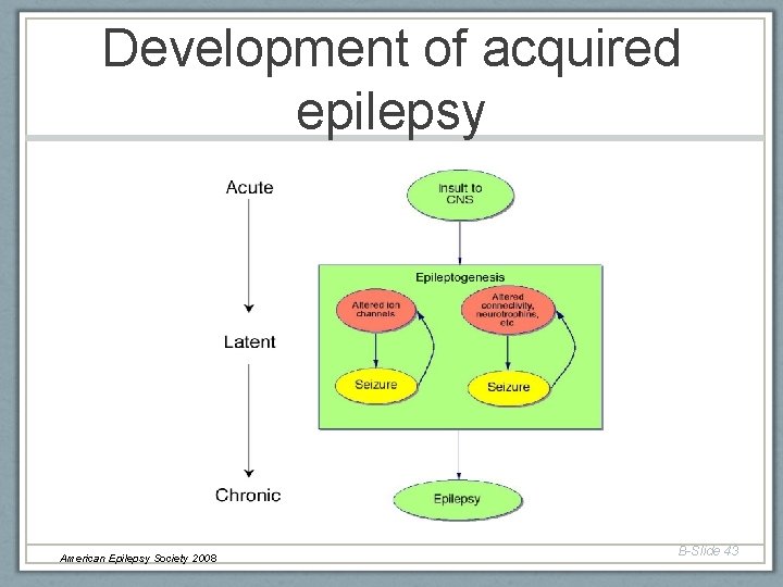 Development of acquired epilepsy American Epilepsy Society 2008 B-Slide 43 Development of acquired epilepsy American Epilepsy Society 2008 B-Slide 43