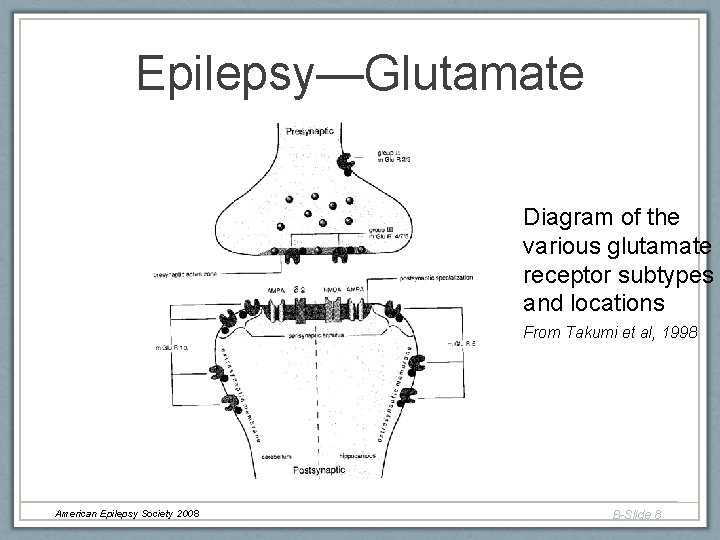 Epilepsy—Glutamate Diagram of the various glutamate receptor subtypes and locations From Takumi et al,