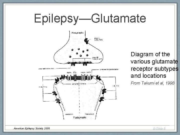 Epilepsy—Glutamate Diagram of the various glutamate receptor subtypes and locations From Takumi et al, Epilepsy—Glutamate Diagram of the various glutamate receptor subtypes and locations From Takumi et al,