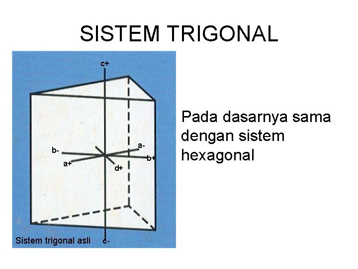 SISTEM TRIGONAL c+ d- b- ab+ a+ Sistem trigonal asli d+ c- Pada dasarnya