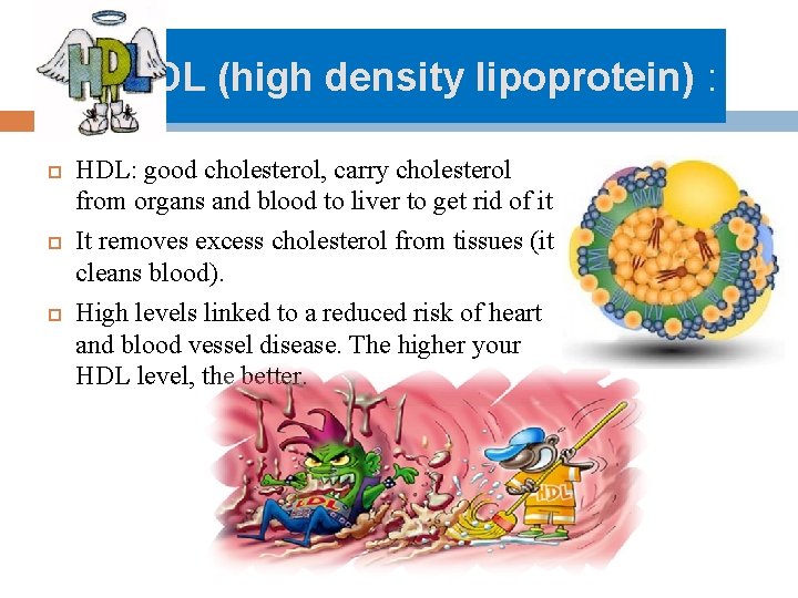 HDL (high density lipoprotein) : HDL: good cholesterol, carry cholesterol from organs and blood