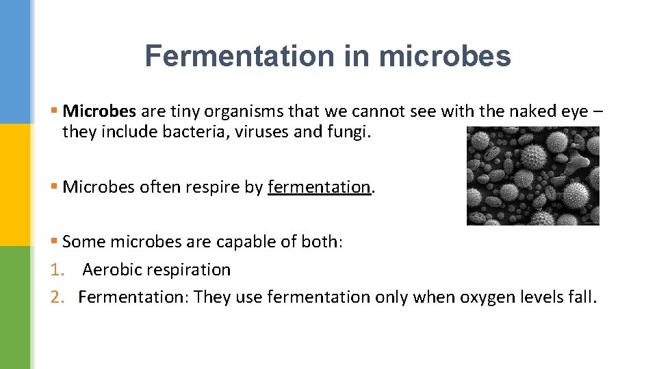 Fermentation in microbes § Microbes are tiny organisms that we cannot see with the