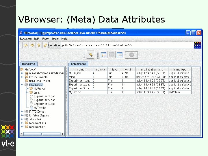 VBrowser: (Meta) Data Attributes 