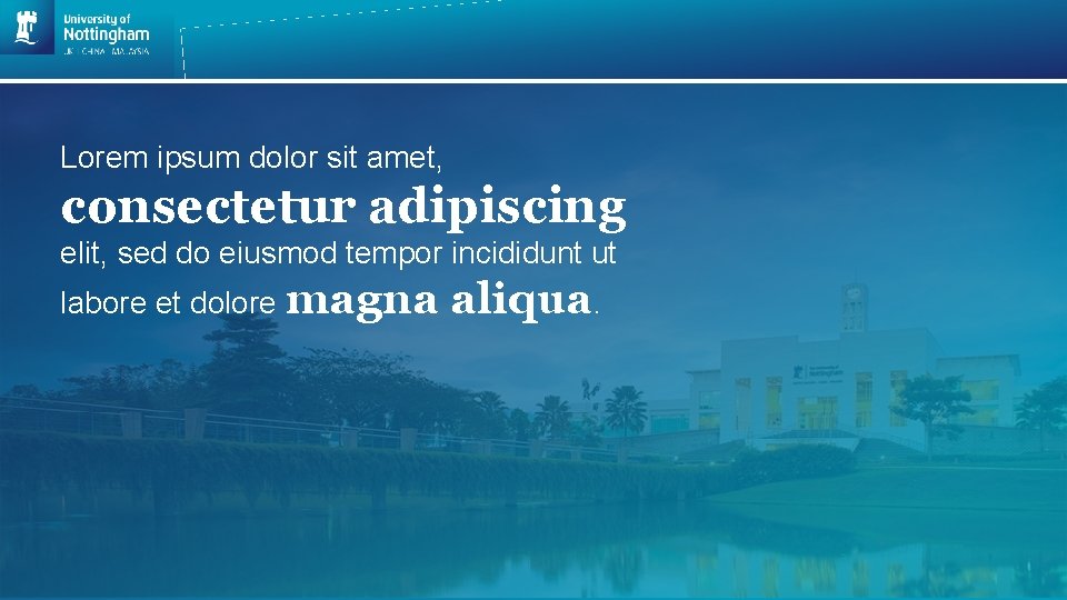 Lorem ipsum dolor sit amet, consectetur adipiscing elit, sed do eiusmod tempor incididunt ut