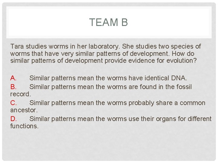 TEAM B Tara studies worms in her laboratory. She studies two species of worms