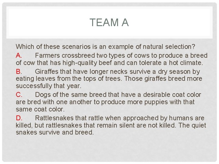 TEAM A Which of these scenarios is an example of natural selection? A. Farmers