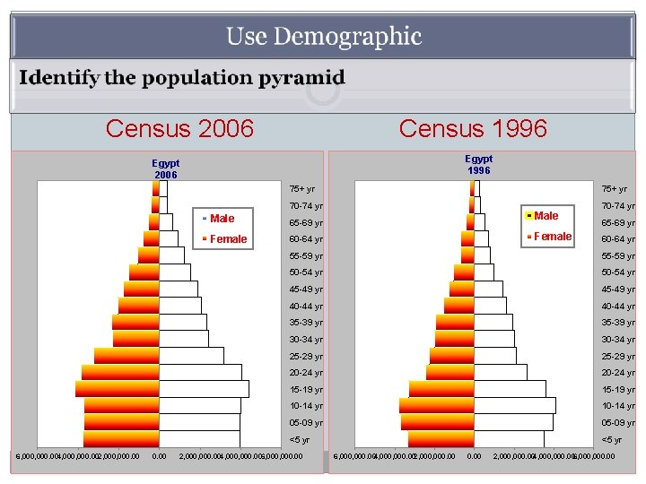 Census 2006 Census 1996 Egypt 2006 75+ yr 70 -74 yr 6, 000. 004,