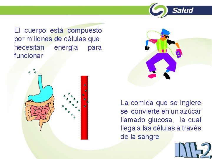 El cuerpo está compuesto por millones de células que necesitan energía para funcionar La