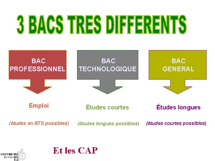  BAC PROFESSIONNEL BAC TECHNOLOGIQUE BAC GENERAL Emploi Études courtes Études longues (études en