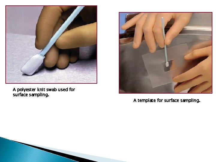 A polyester knit swab used for surface sampling. A template for surface sampling. 