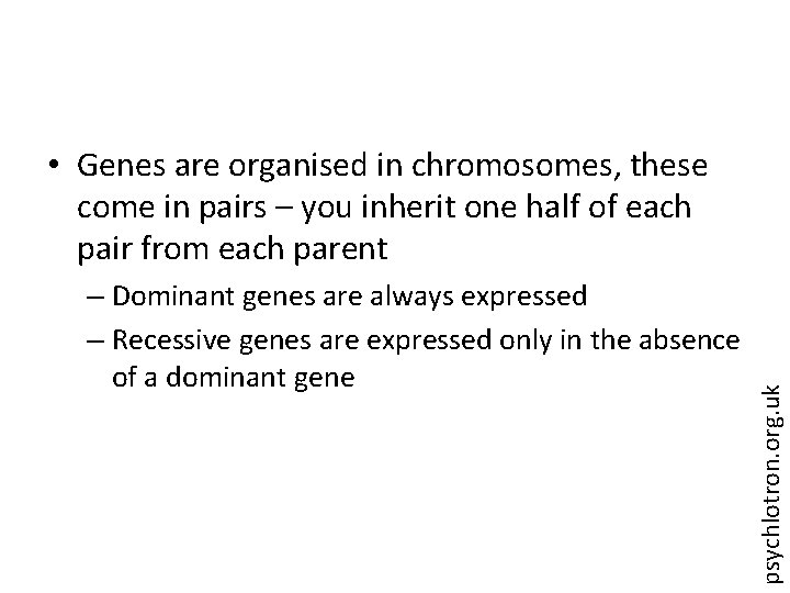 – Dominant genes are always expressed – Recessive genes are expressed only in the
