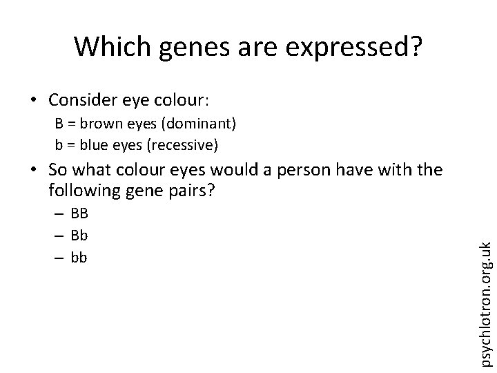 Which genes are expressed? • Consider eye colour: B = brown eyes (dominant) b