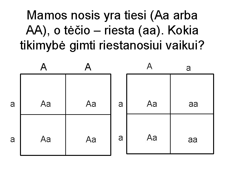 Mamos nosis yra tiesi (Aa arba AA), o tėčio – riesta (aa). Kokia tikimybė