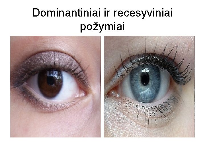 Dominantiniai ir recesyviniai požymiai 