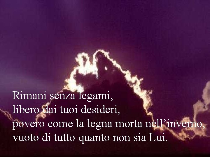 Rimani senza legami, libero dai tuoi desideri, povero come la legna morta nell’inverno, vuoto