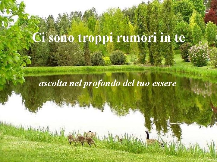 Ci sono troppi rumori in te ascolta nel profondo del tuo essere 