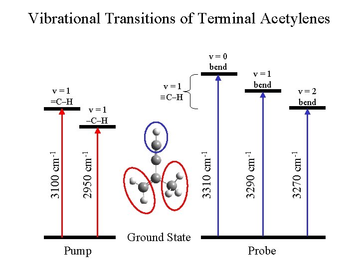 Vibrational Transitions of Terminal Acetylenes v=1 ≡C–H Pump Ground State 3290 cm-1 3310 cm-1