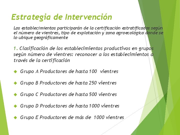 Estrategia de Intervención Los establecimientos participarán de la certificación estratificados según el número de