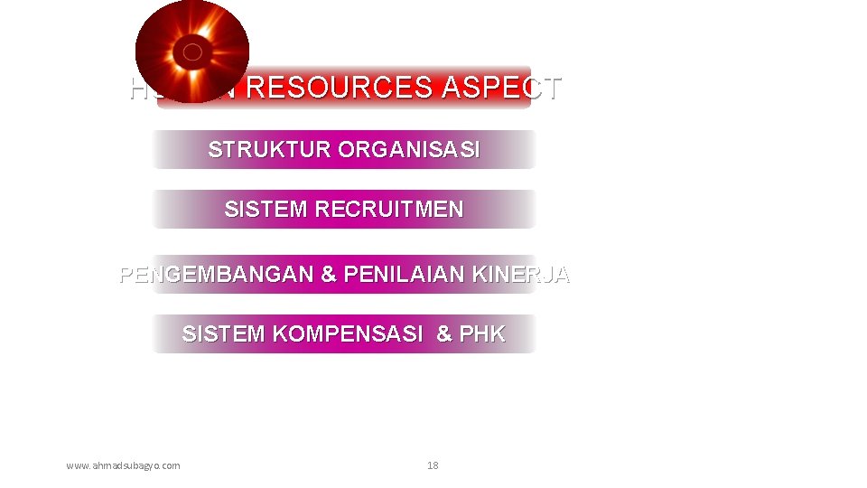 HUMAN RESOURCES ASPECT STRUKTUR ORGANISASI SISTEM RECRUITMEN PENGEMBANGAN & PENILAIAN KINERJA SISTEM KOMPENSASI &