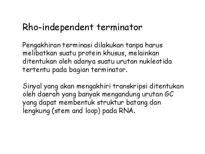 Rho-independent terminator Pengakhiran terminasi dilakukan tanpa harus melibatkan suatu protein khusus, melainkan ditentukan oleh