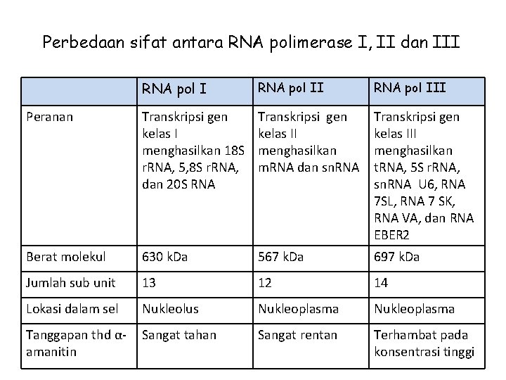 Perbedaan sifat antara RNA polimerase I, II dan III RNA pol III Peranan Transkripsi