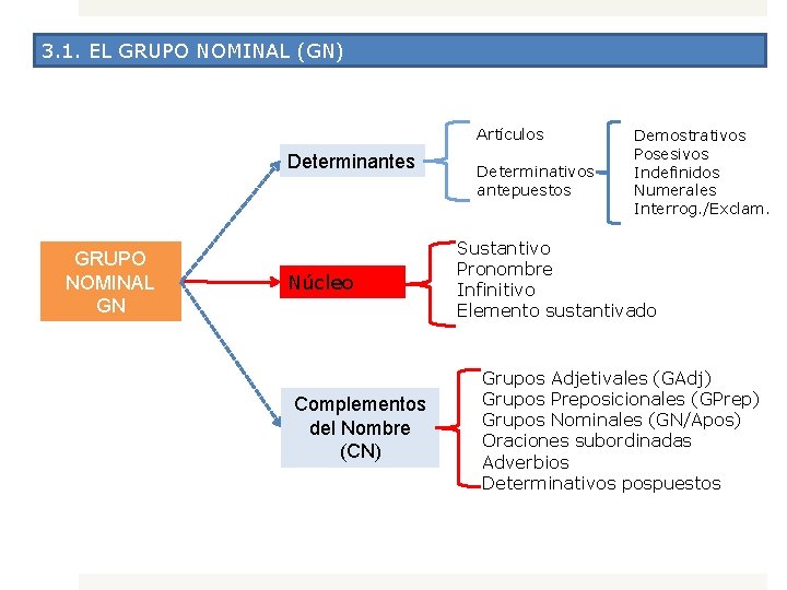 3. 1. EL GRUPO NOMINAL (GN) Artículos Determinantes GRUPO NOMINAL GN Núcleo Complementos del