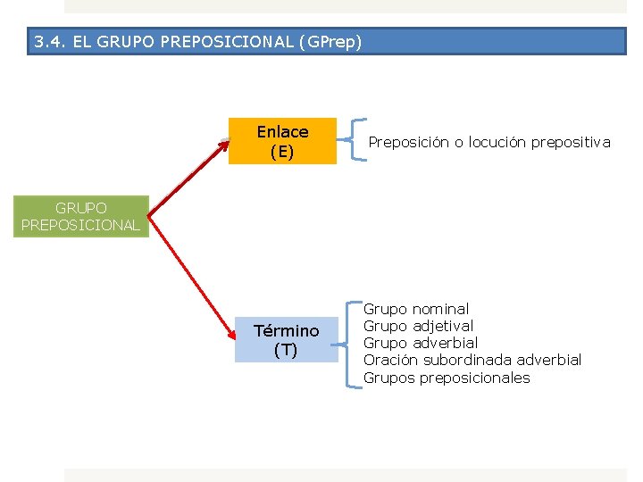 3. 4. EL GRUPO PREPOSICIONAL (GPrep) Enlace (E) Preposición o locución prepositiva GRUPO PREPOSICIONAL