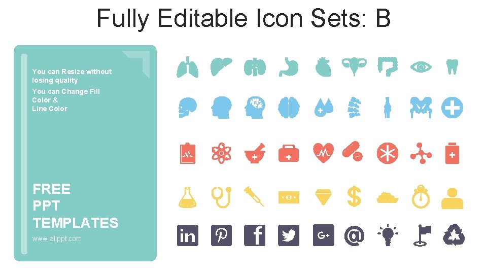 Fully Editable Icon Sets: B You can Resize without losing quality You can Change