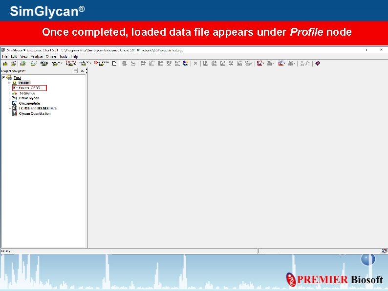 Once completed, loaded data file appears under Profile node 